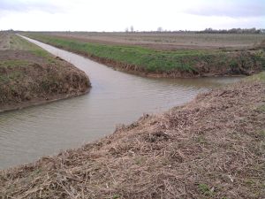 Drainage ditches mark out field boundaries Drainage ditches mark out field boundaries