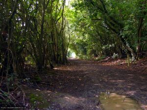 Gypsy Lane at its widest Gypsy Lane at its widest