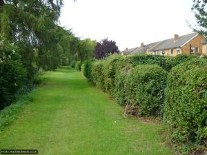 The secret path behind Brook View, Ninesprings Way and Oakfield Avenue The secret path behind Brook View, Ninesprings Way and Oakfield Avenue