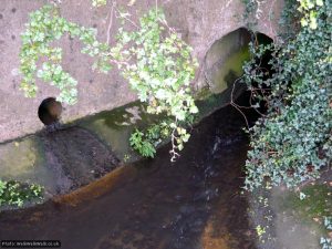 The Brook emerges from under the Stevenage Road