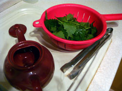 Nettles washed and ready for the teapot Nettles washed and ready for the teapot