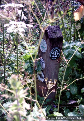 Post displaying a multitude of waymarks Post displaying a multitude of waymarks