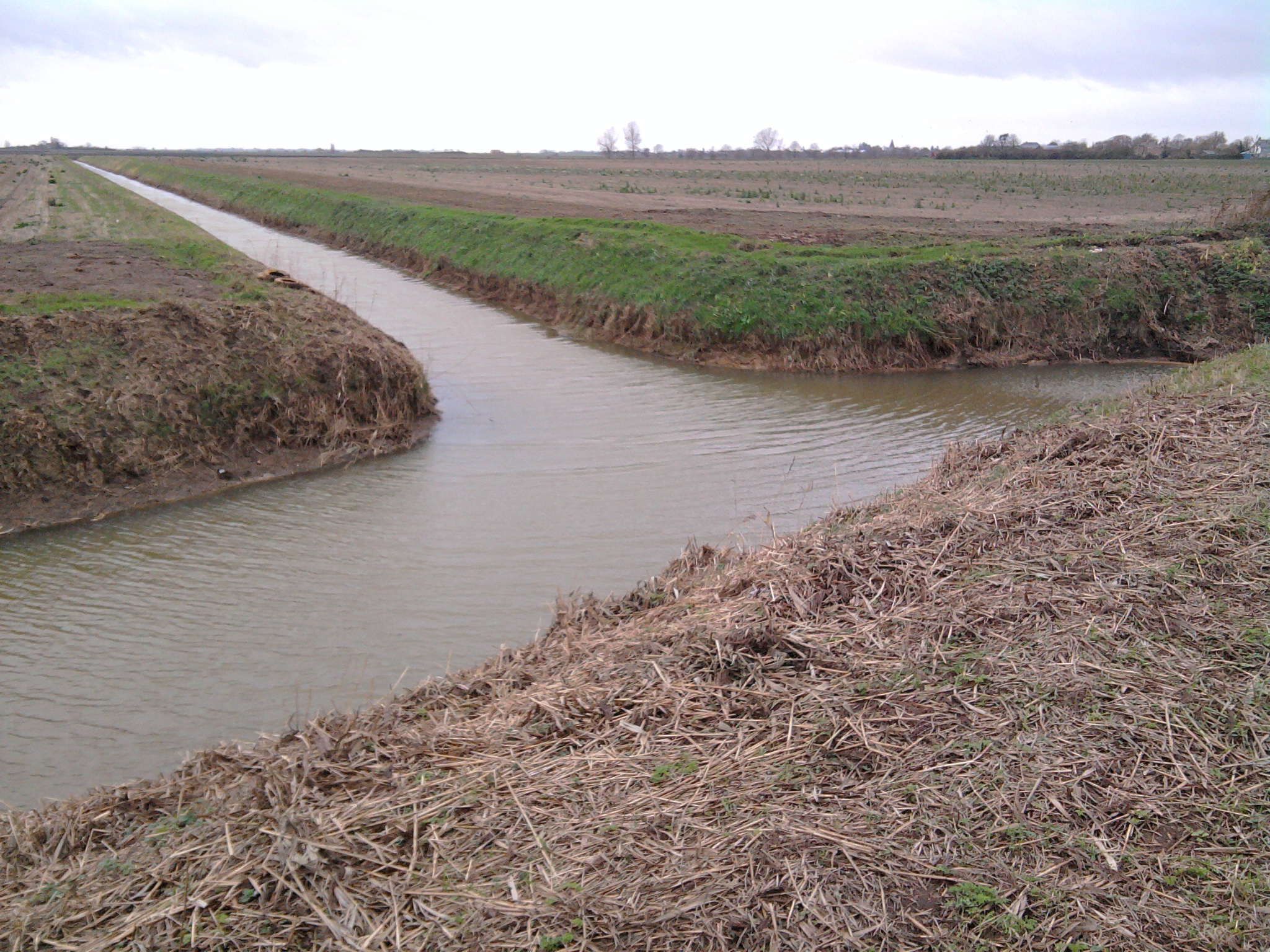 Out and about in Fenland