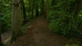 A sheltered, shadowy path between river and fields