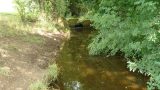 The path gains a second stream, to its right