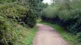 Easy walking as the route heads away from the common