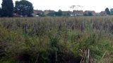 Swinburne Avenue visible across the last of the common