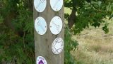 The stone axe waymarks are for the Icknield Way
