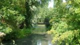 Picturesque views as the river heads off northwards