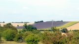 A lavender field. Near the path but - despite the publicity - not on it