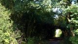 The path leaves the railway behind and heads for the fields