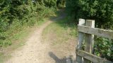 Emerge from this wooden bridge and turn right down the path ahead