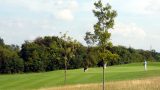 Well-kept fairways and greens