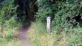 Leave the main path and head into this gap in the trees