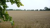 Across the fields opposite the town