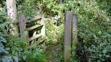 An optional path snakes through the Purwell Ninesprings Nature Reserve