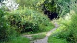 A side path leads off towards the site of a Roman villa