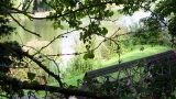 A glimpse of the fishing lake through the trees