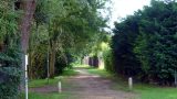 The HOOP heads into a quiet brookside path behind the houses