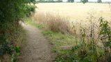 Not the route: this path goes to Maydencroft Manor