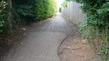 Another alternate path - this one into Priory Way