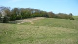 Chalk downland cleared of encroaching scrub