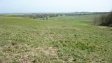 Chalk grassland supports many species