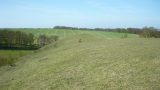 Hunting down the slope for wildflowers