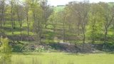 Lynchets on a hillside