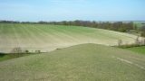 Heathland adjoining cultivated fields