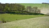 Another view of the lynchets