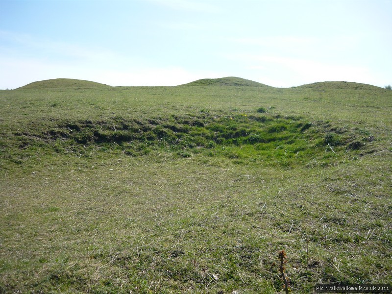 Bronze Age round barrows on the skyline WalkWalkWalk